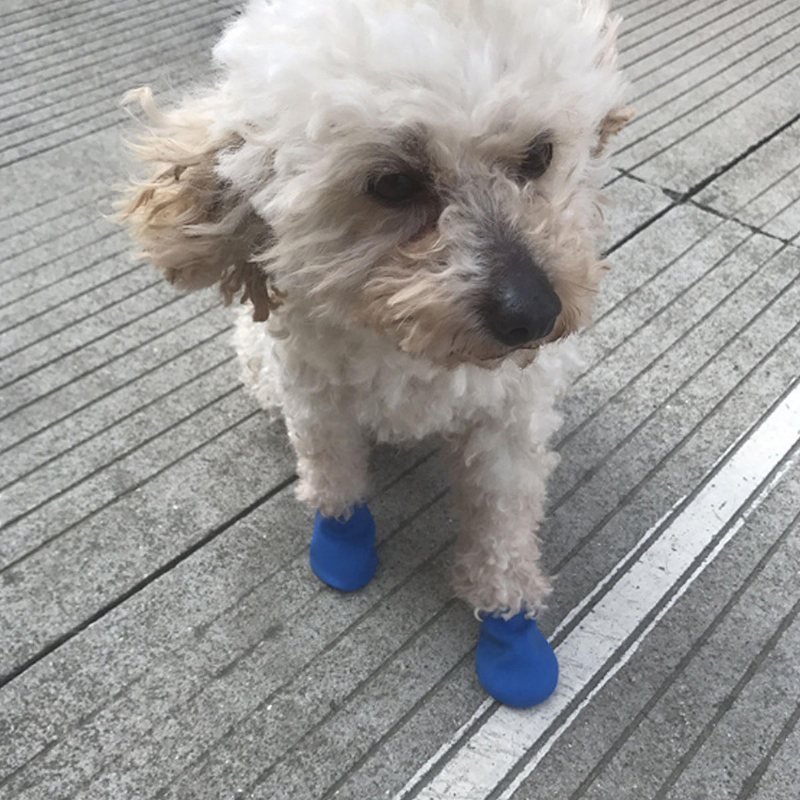 4/8 St Hund Katt Regn Skyddsstövlar Vattentät Valp Husdjur Skoskydd Stövlar Anti-halk