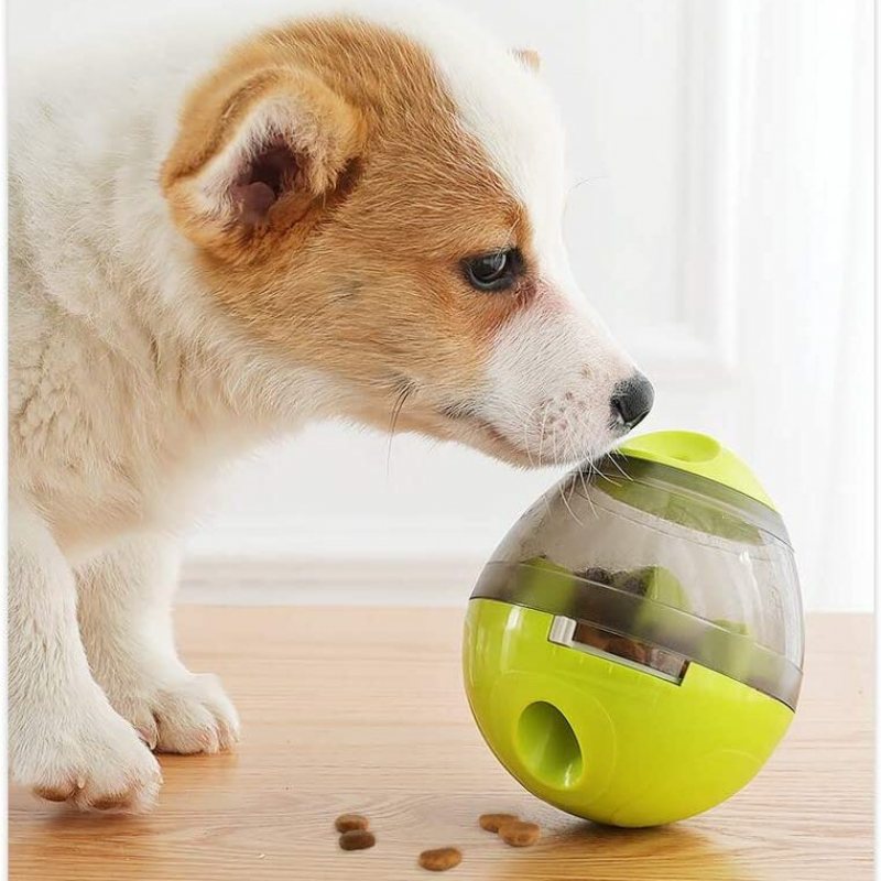 Dog Treat Ball Food Dispenser Interactive Slow Feeder Leksaker