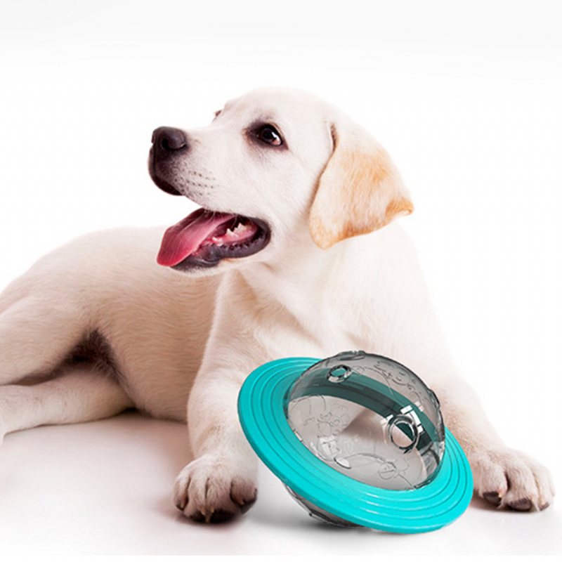 Flying Disc Hundleksaker Slow Food Feeder Ball Puppy Iq Training
