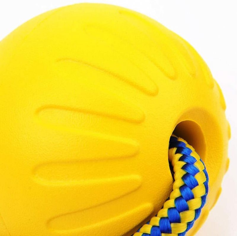 Flytande Hundbettsäker Hundträningsboll