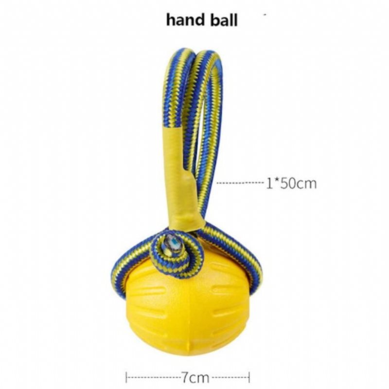 Flytande Hundbettsäker Hundträningsboll