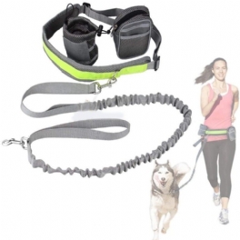 Hund Hands Free Löpande Koppel Elastisk Krage Bälte Set