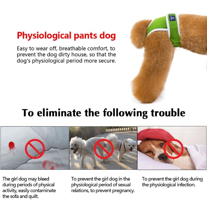 Hundblöjor Fysiologiska Husdjursbyxor