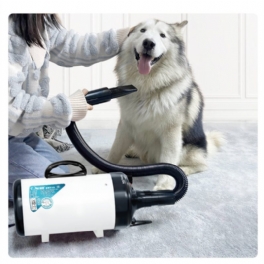 Jase Pd9001 Husdjursblåsningsmaskin 2200w Lågbrus Wam Vind Hushålls Katt Hund Snabb Hårtork För Husdjurstillbehör Trimning