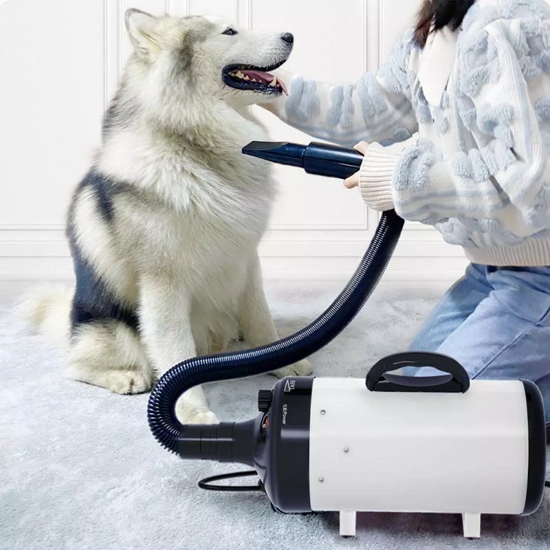 Jase Pd9001 Husdjursblåsningsmaskin 2200w Lågbrus Wam Vind Hushålls Katt Hund Snabb Hårtork För Husdjurstillbehör Trimning