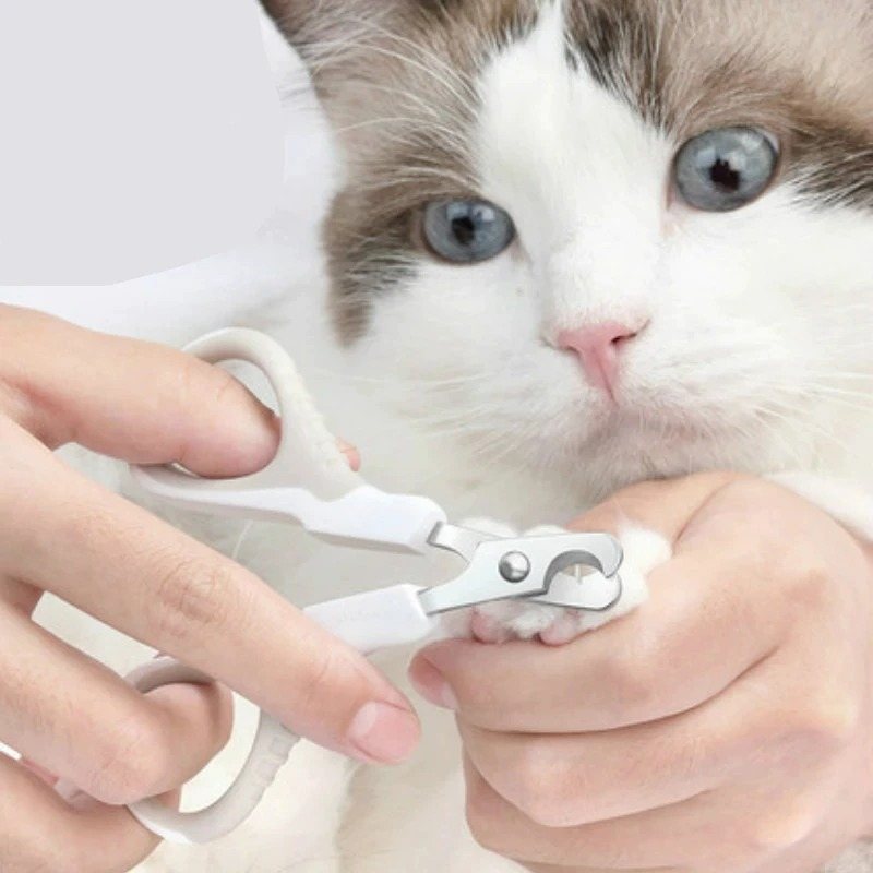 Pet Nagelklippare Pet Trimmer Hund Och Katt