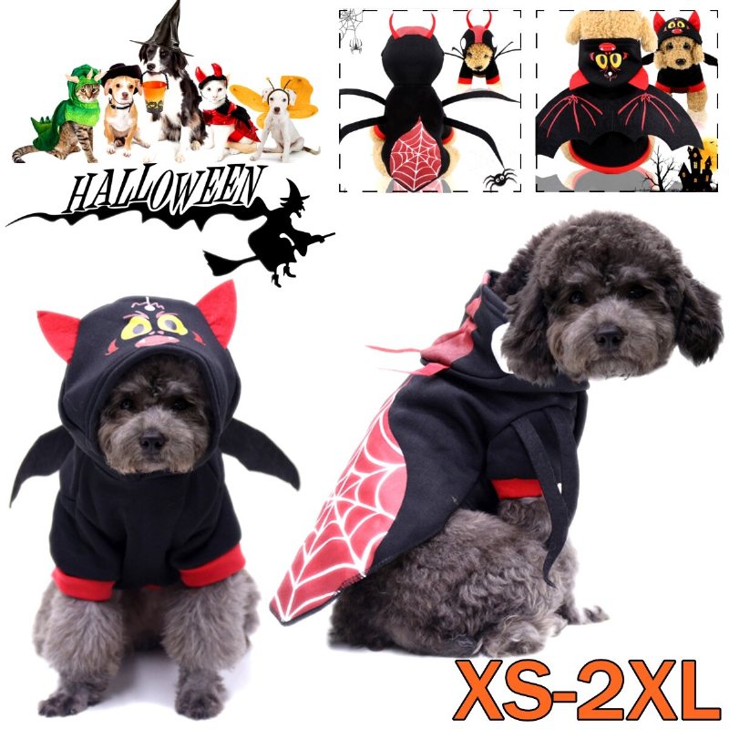 Sällskapshund Halloween Katt Kläder