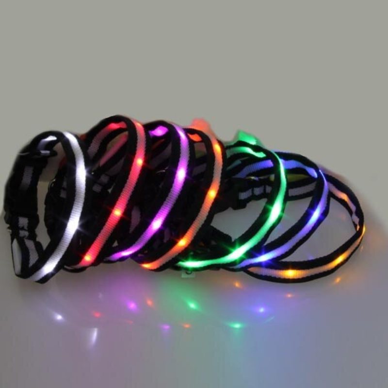 Storlek L Nylon Säkerhetsblinkande Glow Light Led Hundhalsband För Hundar