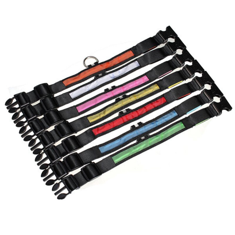 Storlek L Nylon Säkerhetsblinkande Glow Light Led Hundhalsband För Hundar