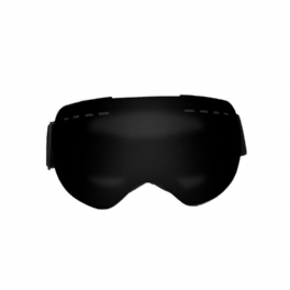 Professionell Skidåkning Motorcykel Snowboard Skidglasögon Anti Fog Uv Dubbellins