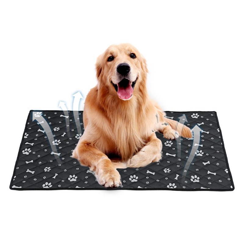 Fiber Pet Hund Katt Mjuk Sommar Kylmatta Säng Chilly Pad Kudde Svart S/m/l/xl
